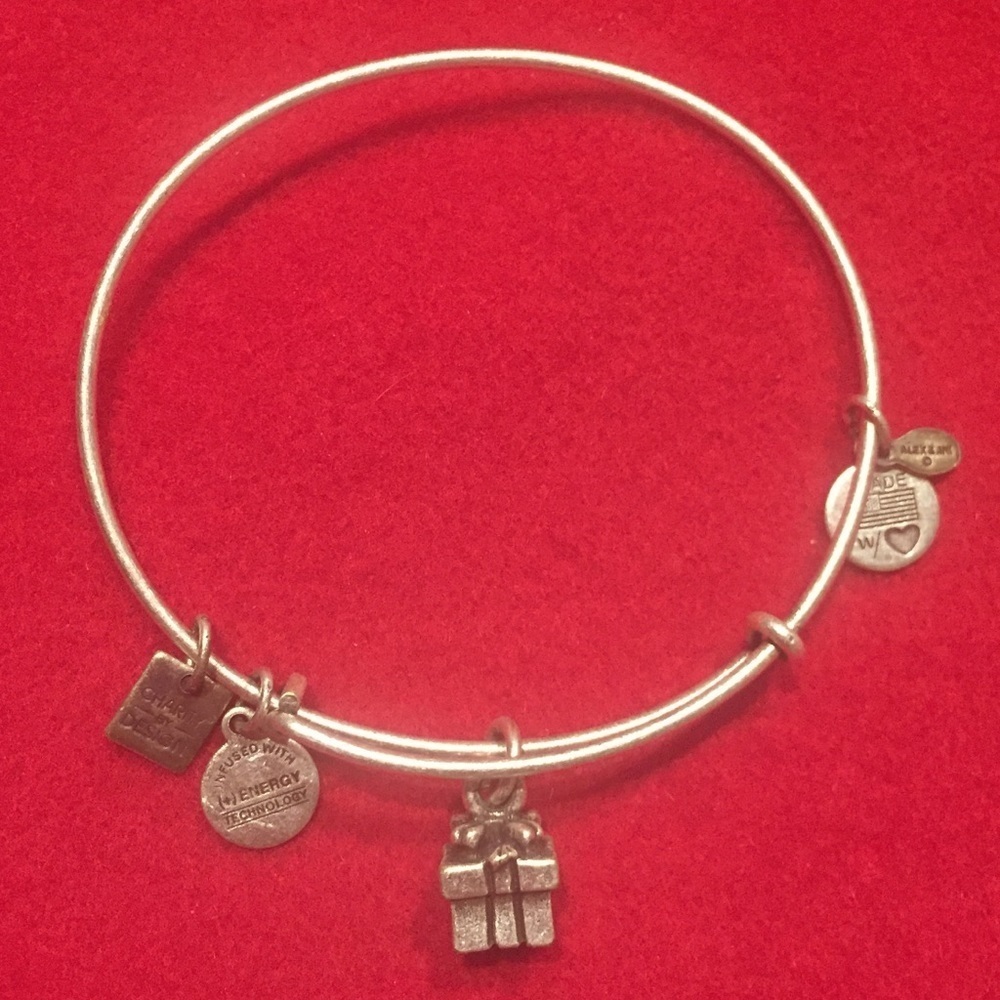 Alex and Ani Gift / Present Charm Bracelet​​​